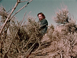 The American Dreamer