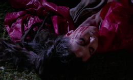 Blood and Black Lace