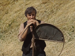 All My Good Countrymen