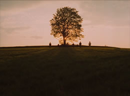 All My Good Countrymen