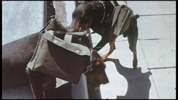 Grindhouse Trailer Classics 4