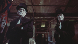 An American Hippie in Israel