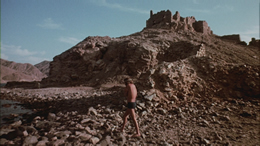 An American Hippie in Israel