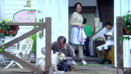 The Happiness of the Katakuris