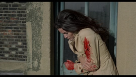 A Lizard in a Woman's Skin