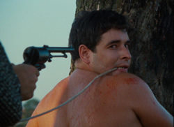 The Merchant of Four Seasons