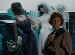 The Merchant of Four Seasons