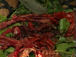 In the Land of the Cannibals