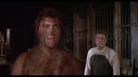 The Island of Dr. Moreau