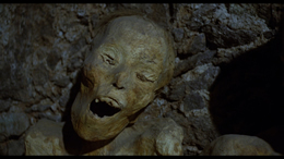 Nosferatu the Vampyre