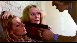 Private Afternoons of Pamela Mann